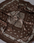 Foulard "PAISLEY"